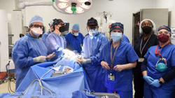 Burri me zemrën e derrit vdiq nga një virus e jo nga transplanti