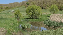Rrjedhja e kanalizimit i lë banorët e Dardanisë në Ferizaj pa punuar tokën qe 4 vjet