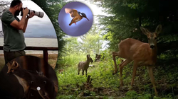 “Wild Life” me Arianin në KTV nis me pamjet ekskluzive nga Afrika
