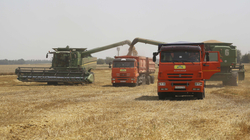 Lufta në Ukrainë thellon krizën e furnizimit me drithëra