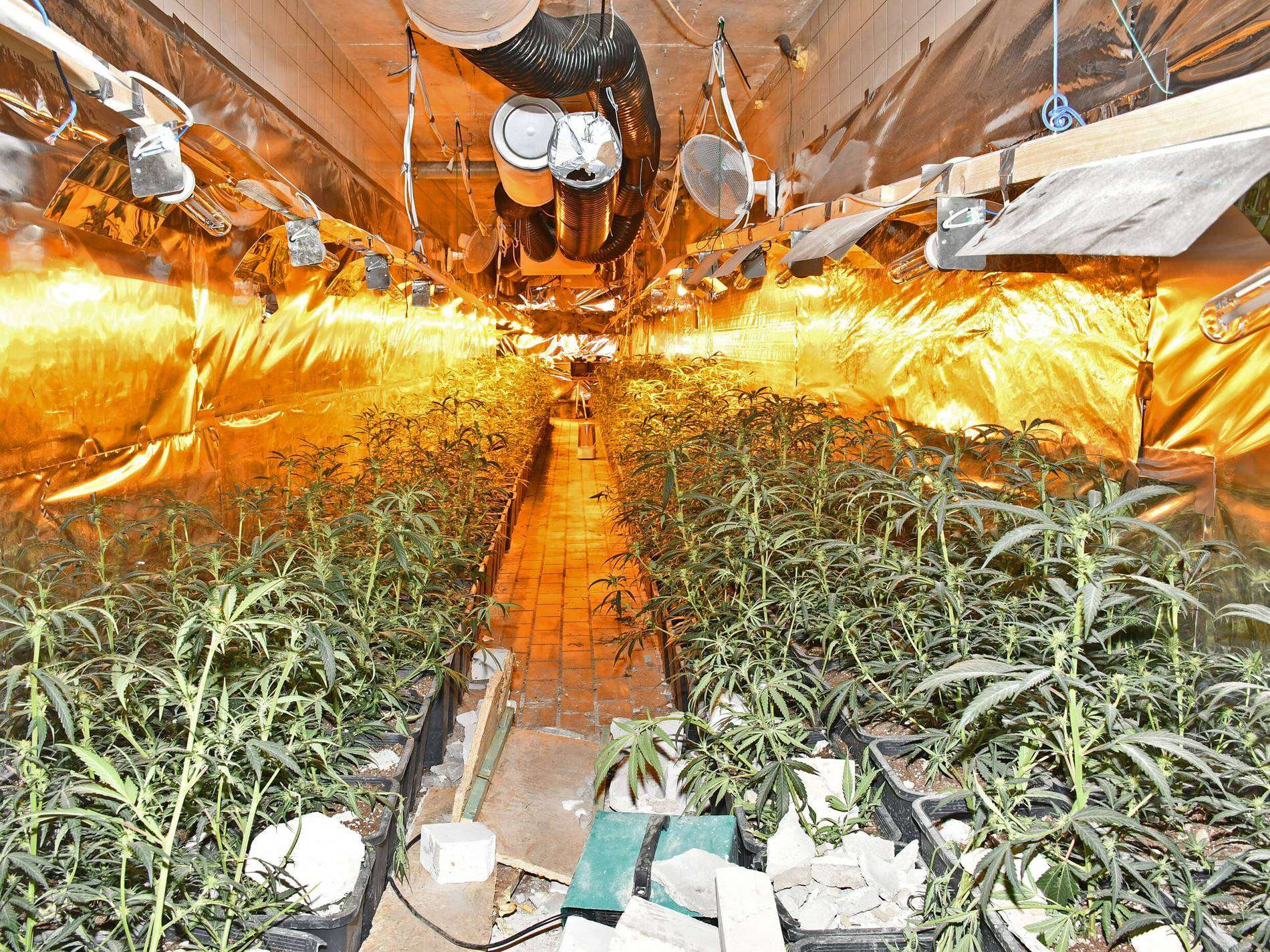 Në Gjermani nis procesi gjyqësor ndaj dy shqiptarëve që kthyen hotelin në laborator droge