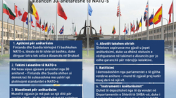 Hapat e mundshëm për Suedinë dhe Finlandën drejt anëtarësimit në NATO