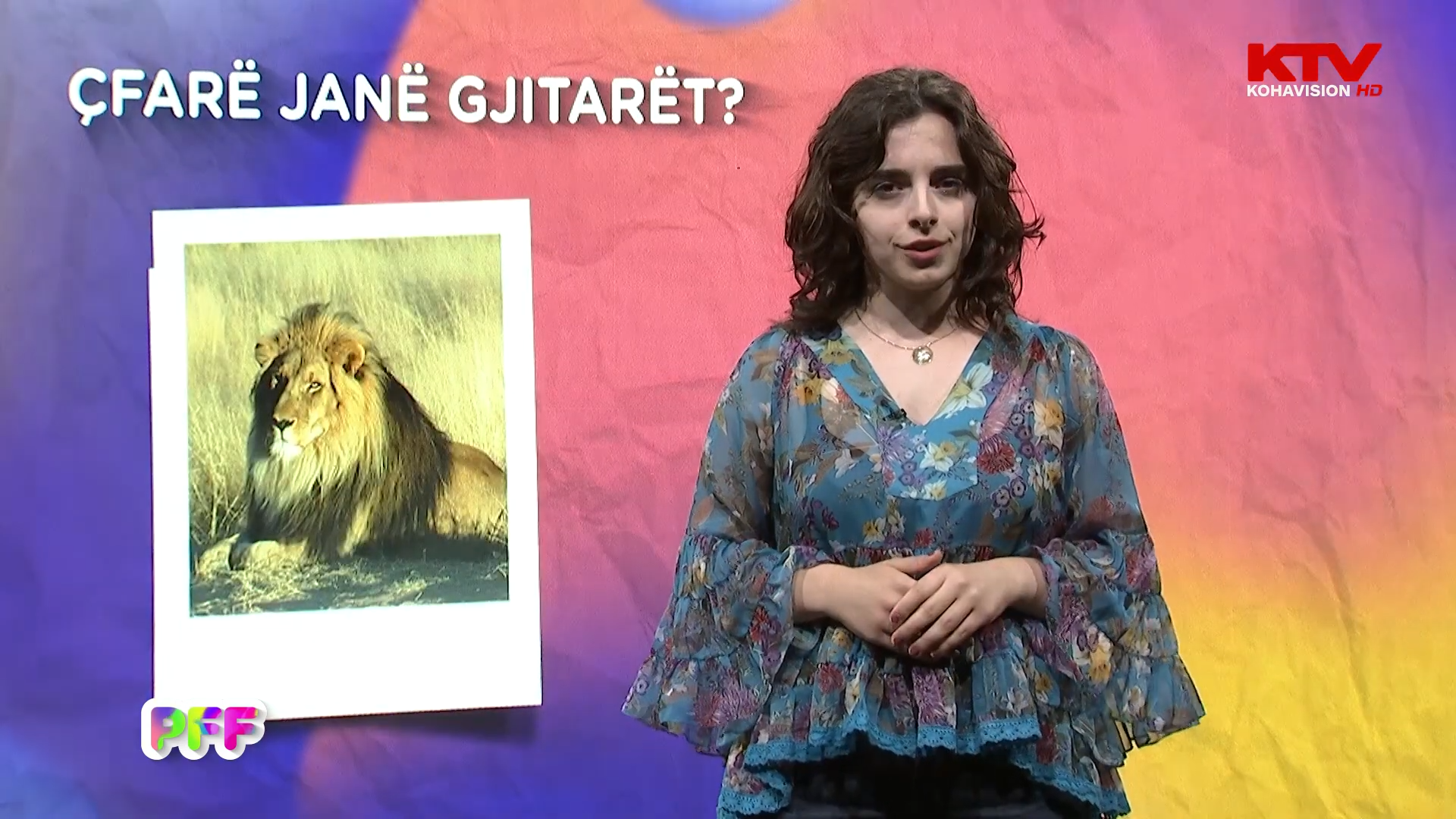 Çfarë janë gjitarët?