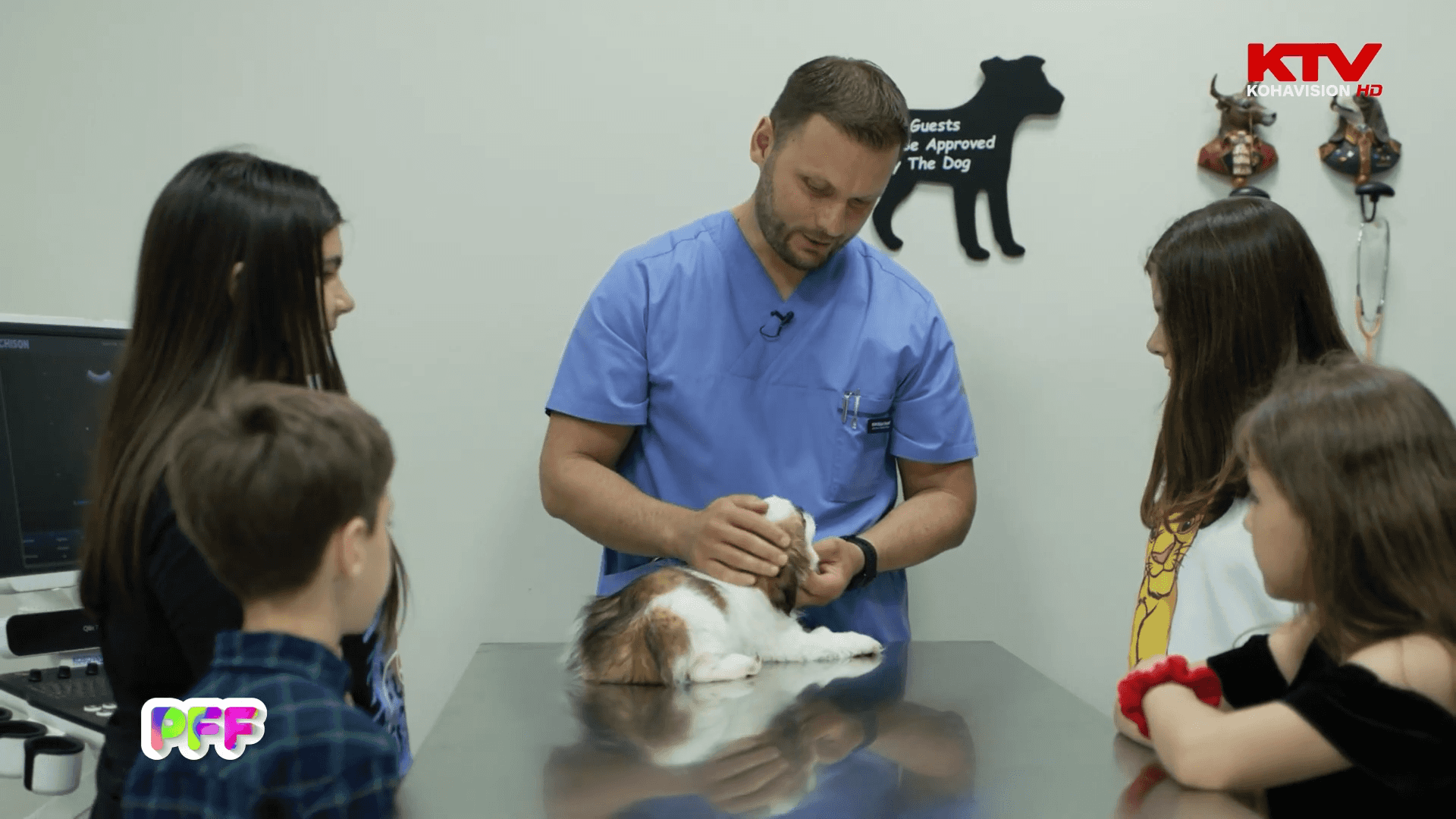 Kujdesi themelor për kafshët – flet veterinari Ilirjan Jusufi