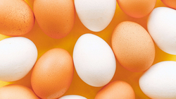 Çmimi i vezëve brenda një viti më se u dyfishua