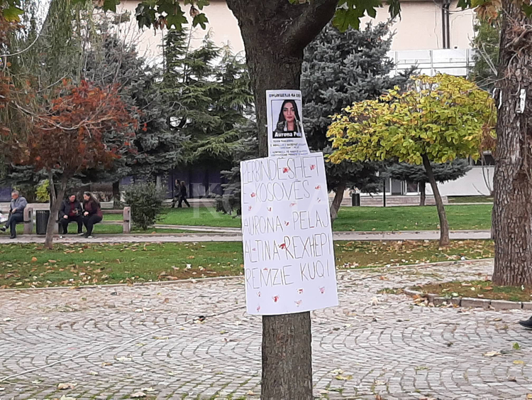 Familjarja e të moshuarës që u keqtrajtua: Të mos ketë më këso rastesh
