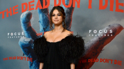 Selena Gomez komenton spekulimet se përbuzi Francia Raisan
