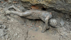 Italianët zbulojnë dhjetëra statuja bronzi të kohës së lashtë romake