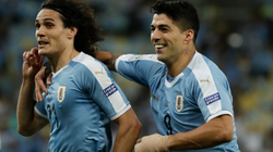 Grupi H: Uruguai edhe në këtë Botëror do të mbështetet në dyshen Suarez-Cavani