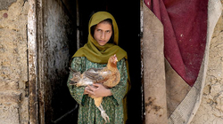 OKB: Talebanët do të vendosin rregulla të reja për punën e grave në operacionet humanitare