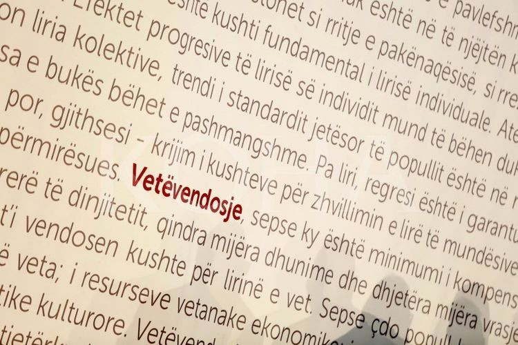 Lëvizja Vetëvendosje