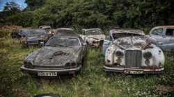 Brenda “varrezave” të veturave klasike, ku Jaguarët e Austinët janë lënë të ndryshken me dekada