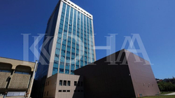 MD-ja kërkon dënime më të ashpra ndaj dhunuesve