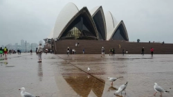 Sydney thyen rekordin vjetor të reshjeve