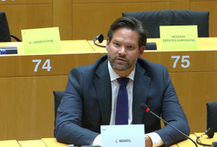 Lukas Mandl