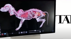 Studentët imagjinojnë strukturat anatomike e aparati 3D që i virtualizon ato qëndron në depo