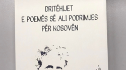 Vepër që hedh dritë mbi fenomenin e disonancës kognitive në letërsinë shqipe