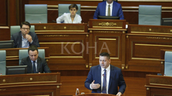 Bekë Berisha: “Strategjia kombëtare, dokument frankshtajn”