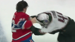 Shqiptari rrah hokejistin famëkeq dhe bën për vete tifozët e NHL-së