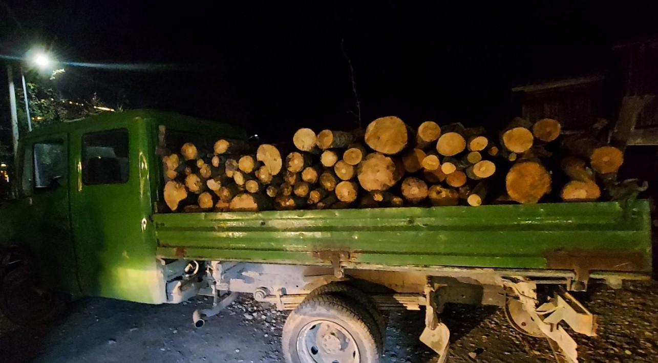 Policia hap rast për dy persona që ilegalisht kanë prerë dru në Malet e Sharrit