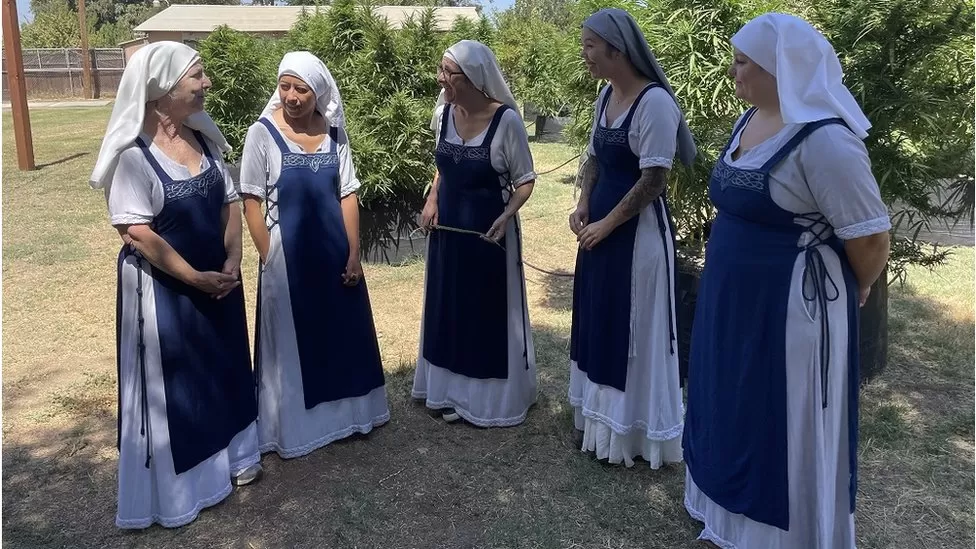 Murgeshat që kultivojnë kanabis luten të kenë më shumë fitim