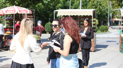 Mbi 1.300 raste të dhunës për 6 muaj