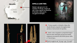 Amputimi më i vjetër zbulohet në Borneo