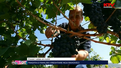 Tradita e familjes vreshtare nga Rahoveci