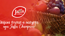 Shijoni frutat e natyrës nga Jaffa Champion!