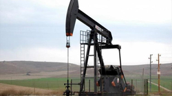 Rritet çmimi i naftës pas zvogëlimit të papritur të prodhimit