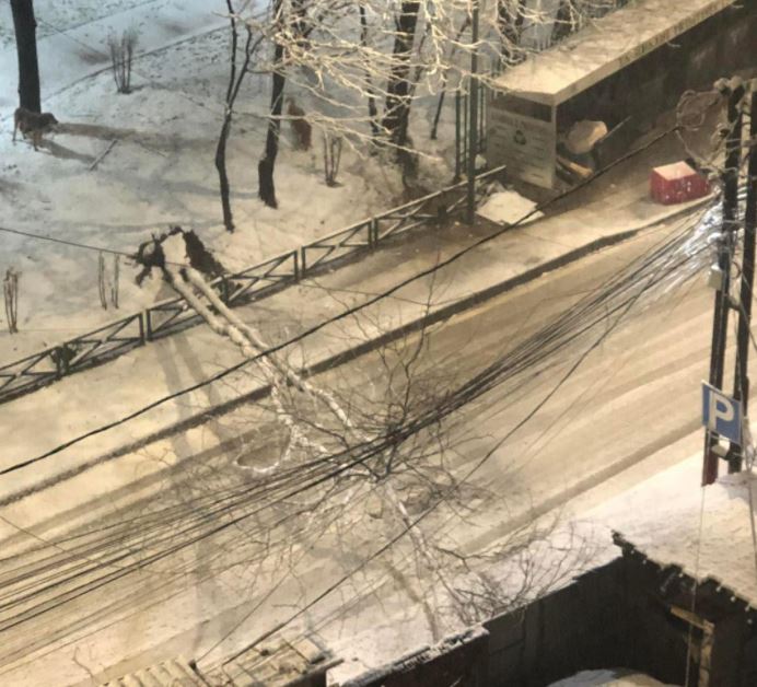 Disa lisa të rrëzuar në Prishtinë pas erërave të forta, një rrugë e bllokuar