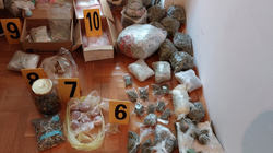 Policia konfiskon sasi të madhe narkotikësh nga banesa e një personi në Prishtinë