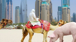 Pesë veprimet që kurrë s'duhet t'i bëni si turistë në Emiratet e Bashkuara Arabe