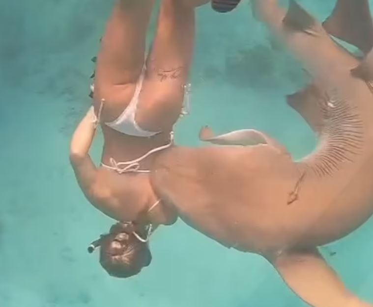 Momenti i frikshëm, peshkaqeni kafshon një zhytëse në Maldive
