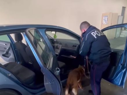 Arrestohet një 45-vjeçar nga Kosova në Shqipëri, iu gjet armë