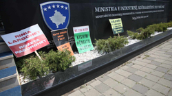 Rinia e PDK-së me aksion para MINT-it: Rinia largohet, Rozeta pasurohet