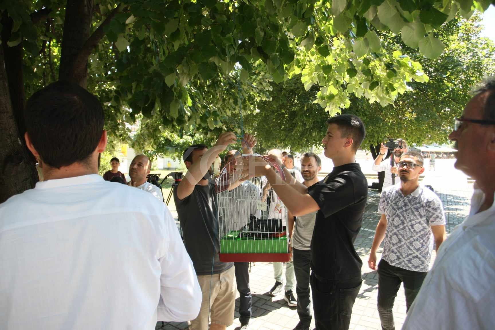 “Pushteti i do mediat, por në kafaz”, PSD-ja aksion kundër Qeverisë