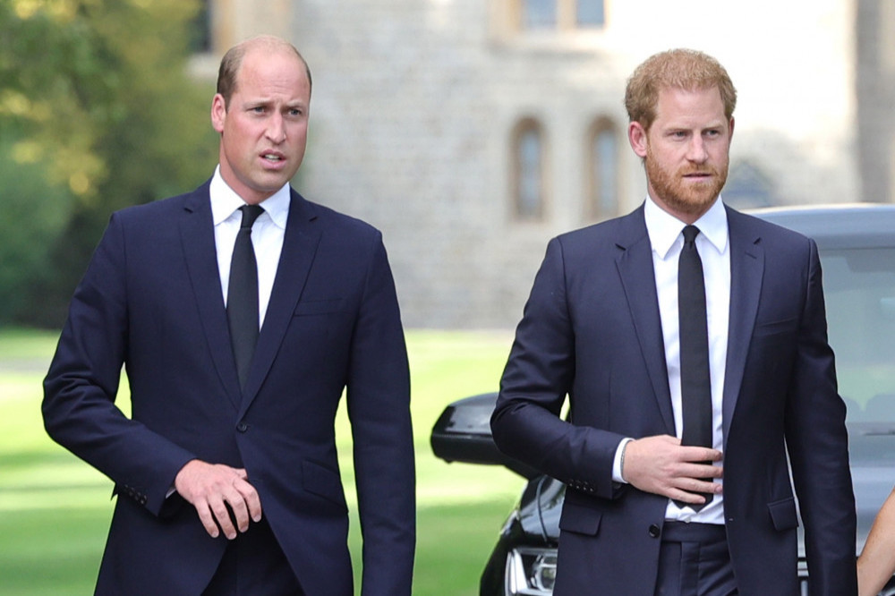 Princi William zëvendëson Harryn në detyrat mbretërore