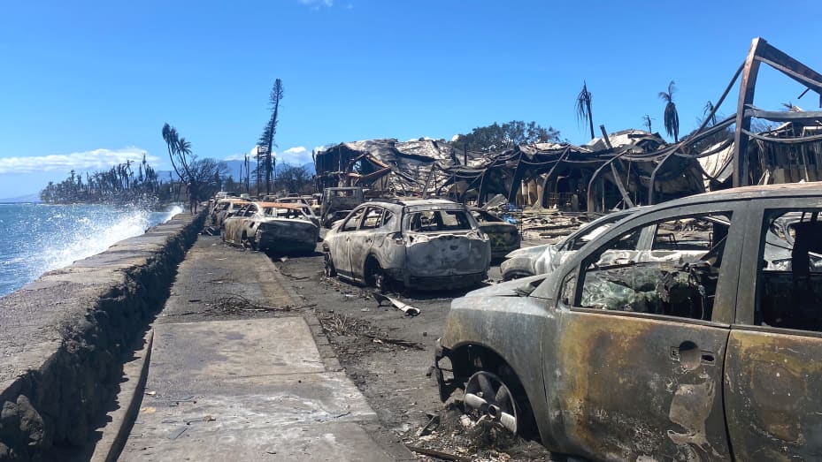 Shkon në 99 numri i të vdekurve nga zjarret në Maui