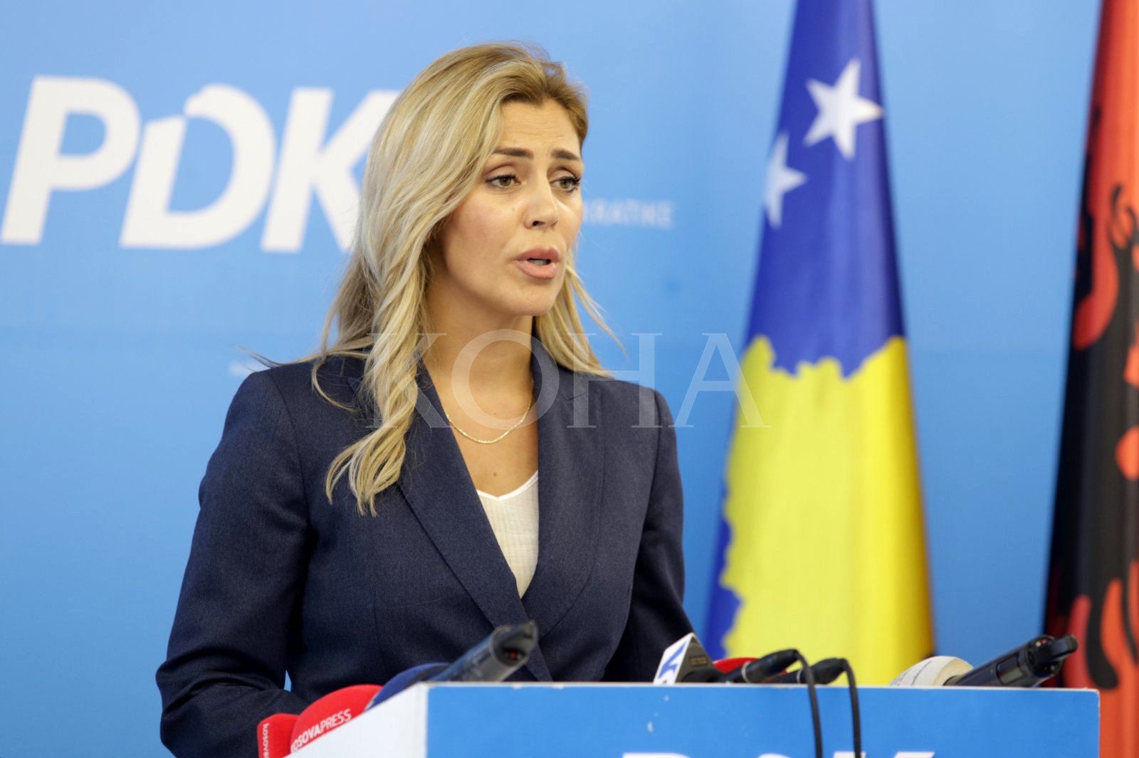Deliu-Kodra: Aksioni në MINT ka kuptim vetëm nëse shkarkohet Hajdari, kryeministër fjala për ty