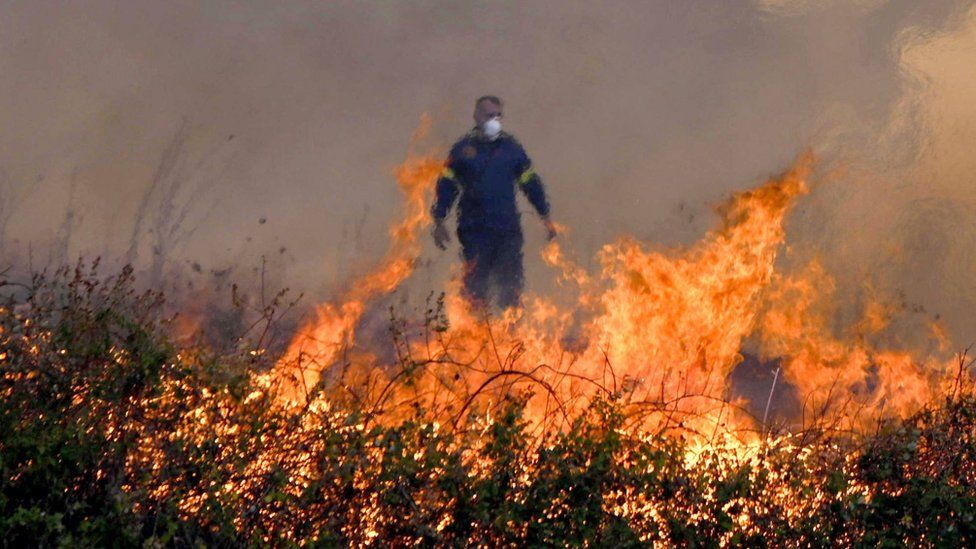 18 trupa të djegur gjenden në një pyll në Greqi, besohet të jenë emigrantë