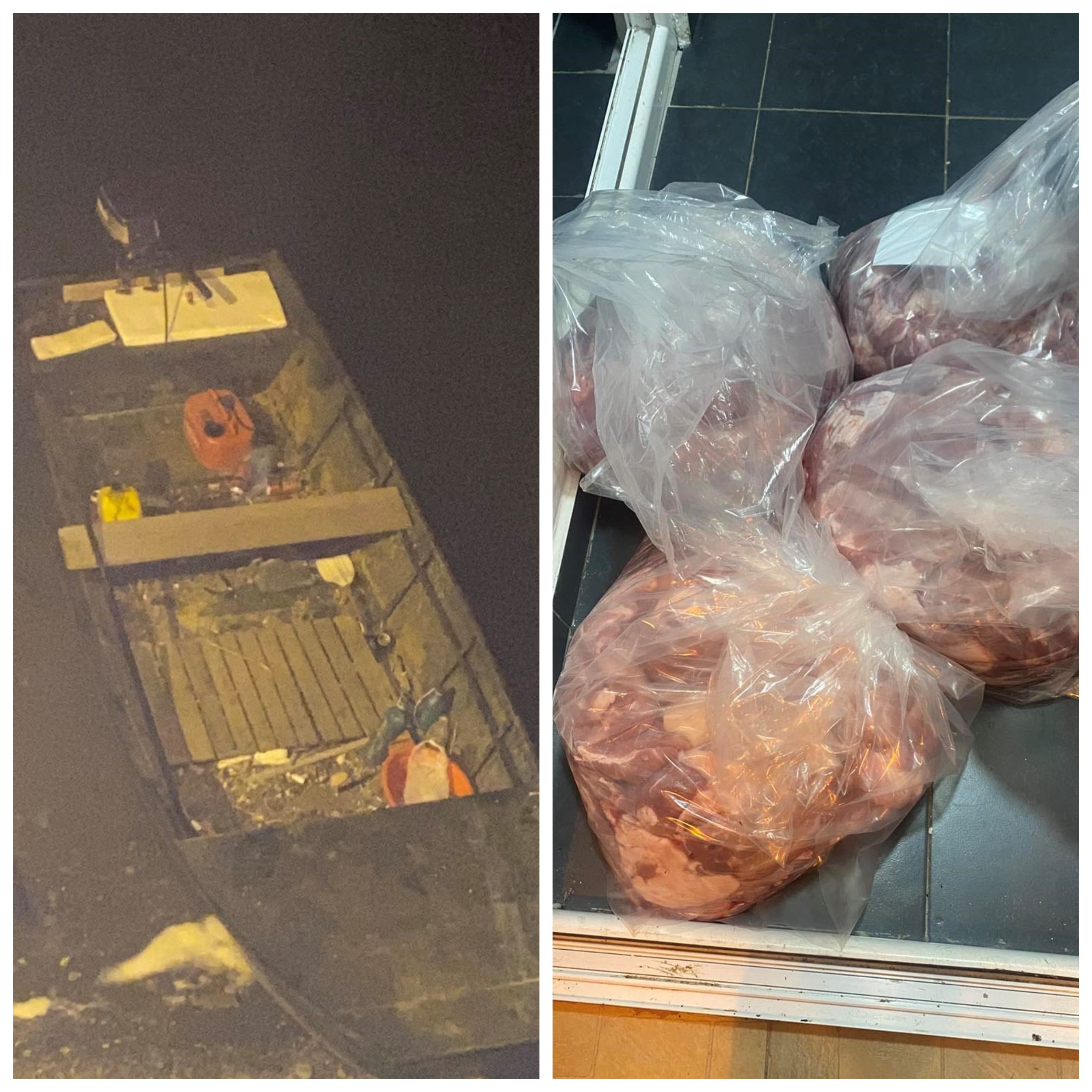 Me varkë kontrabanduan mish derri nga Serbia, ndalohen tre të dyshuar