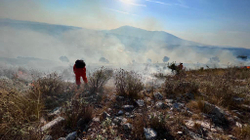 Shqipëria aktivizon njësitet emergjente për shuarjen e zjarreve