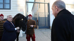 Orbani ia dhuron një kalë Erdoganit