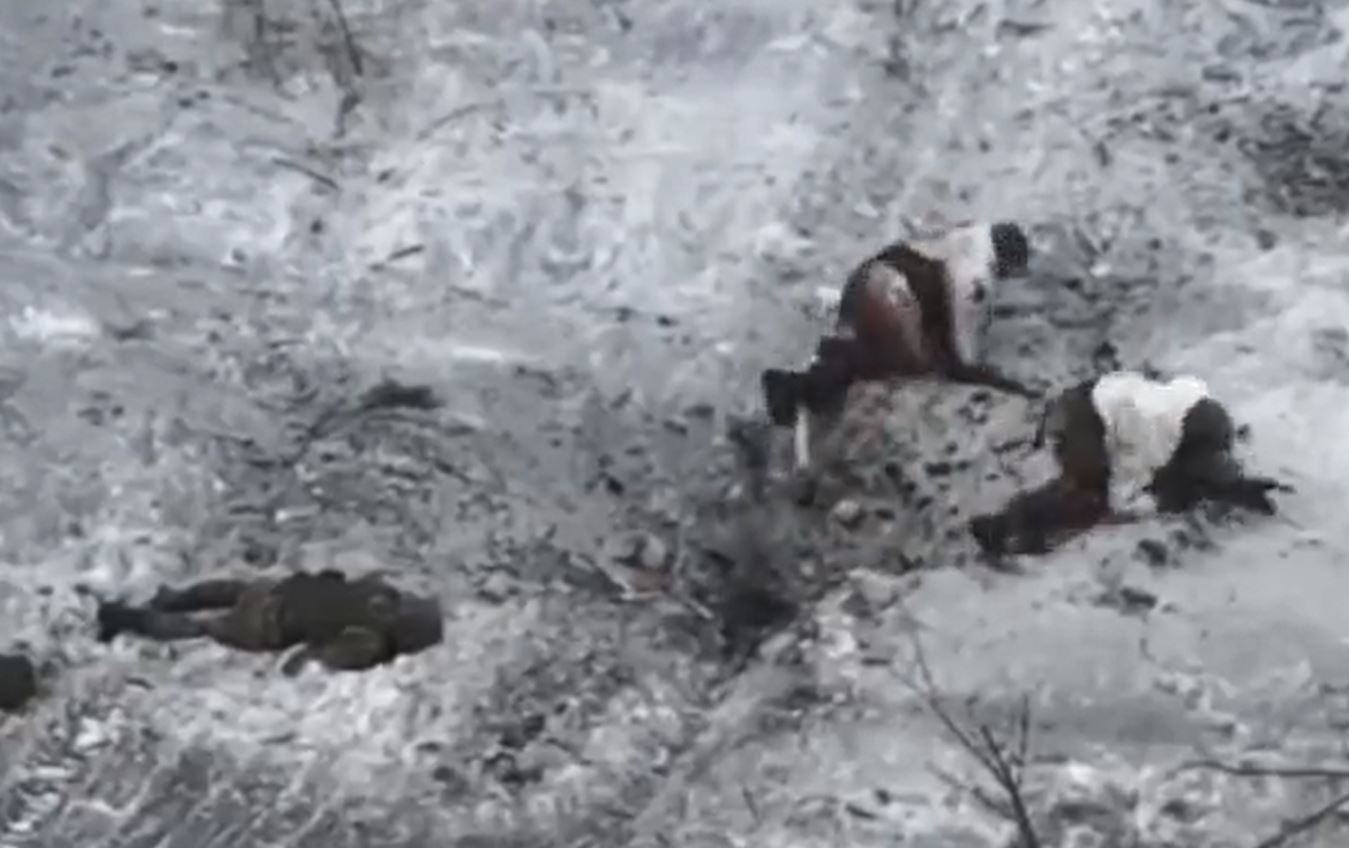 Ushtarët rusë në mes të borës, Ukraina i bombardon me predha