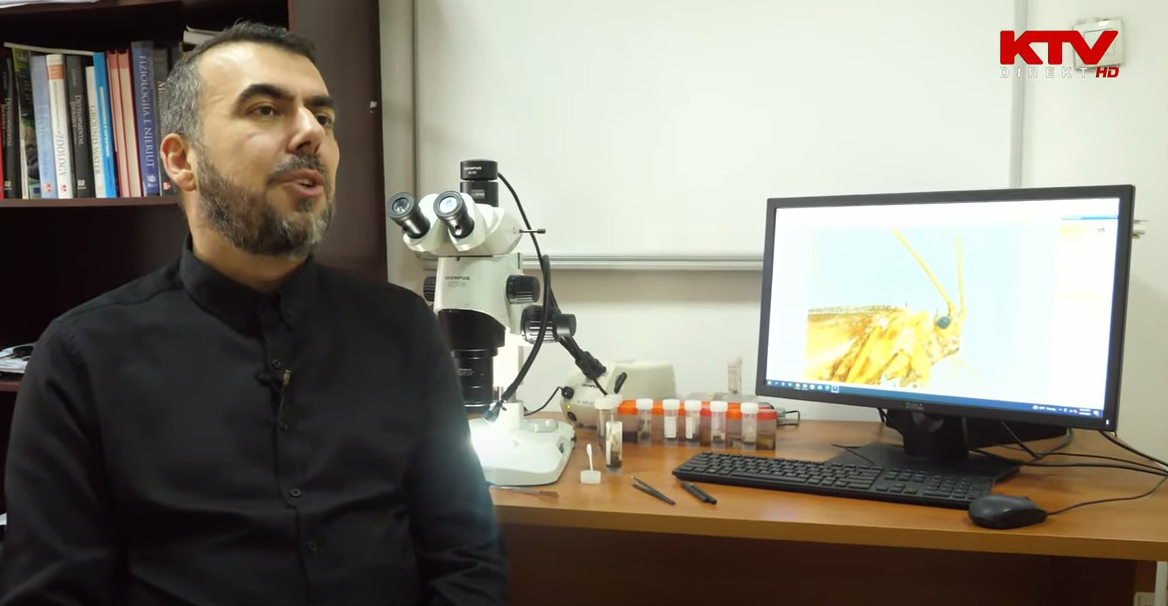 Biologu kosovar zbulon edhe një insekt në Sharr