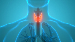 Pesë mënyra se si mund të përmirësoni shëndetin e tiroides
