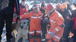 Qeni shpëton një burrë nga rrënojat pas 77 orësh