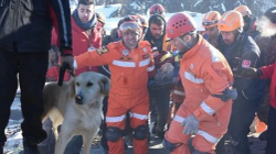 Qeni shpëton një burrë nga rrënojat pas 77 orësh