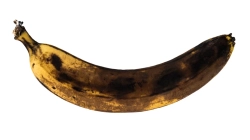 Banania me lëvore të zezë, plot benefite përbrenda